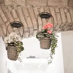 公寓 Shabby @trastevere 罗马